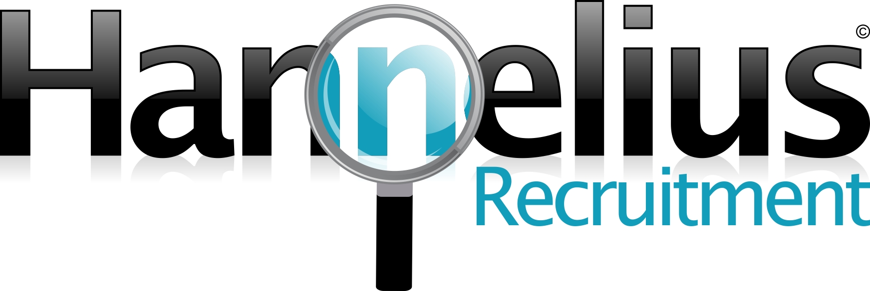 HanneliusRecruitment
